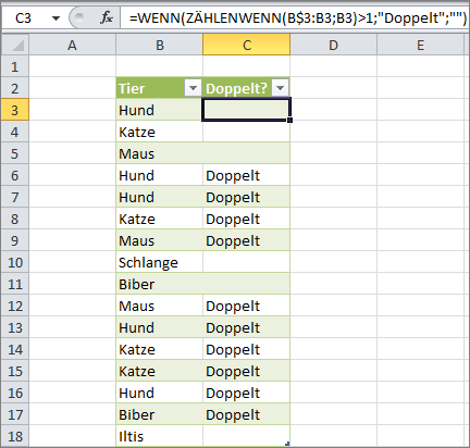 Bildschirmfoto einer Tabelle in Microsoft Office Excel 2010