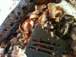 Auflaufform mit verschimmeltem gegrillten GemÃƒÂ¼se